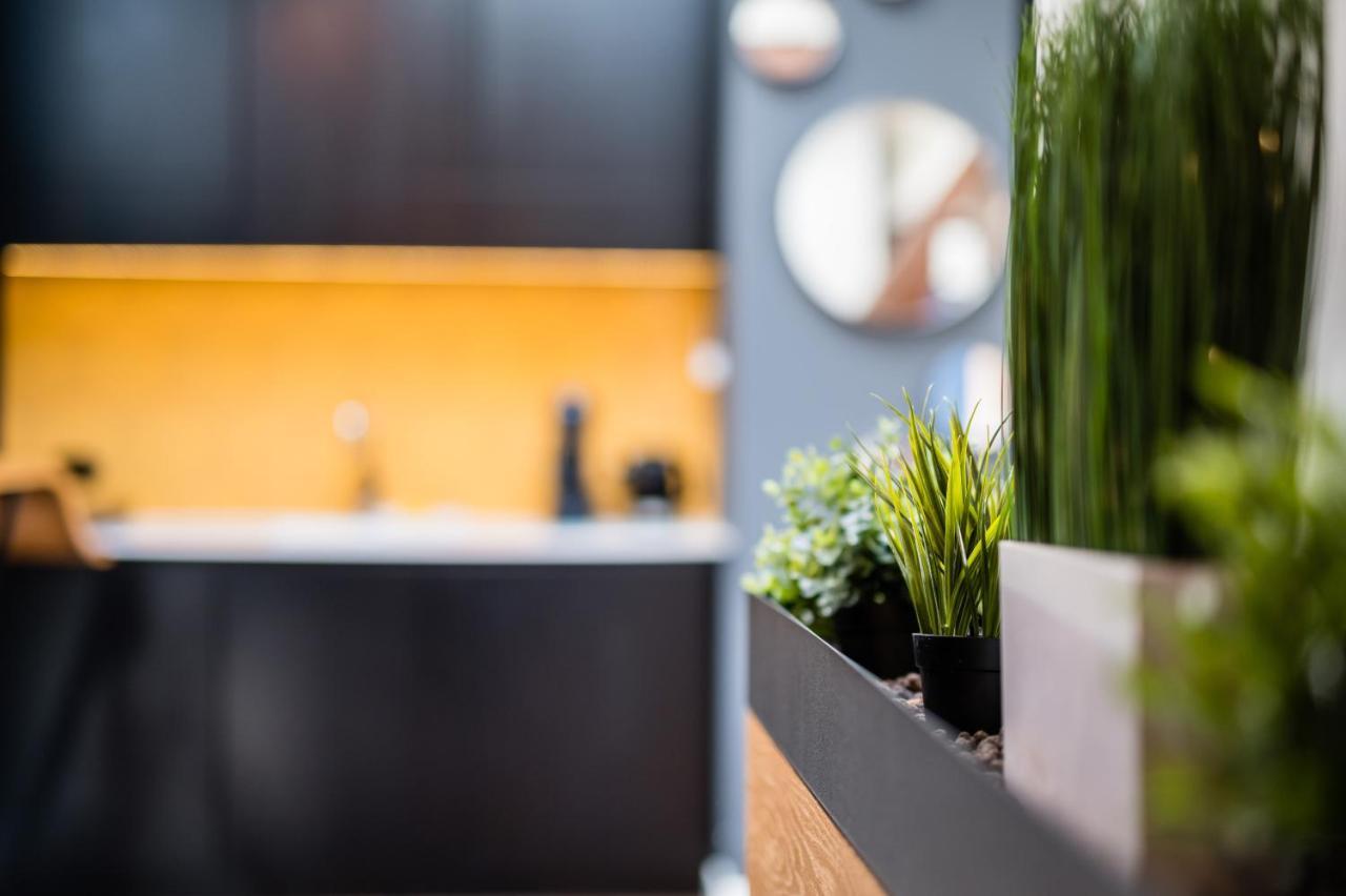 Wegierska Luxury Loft Wawelofts Apartment Krakow Exterior photo